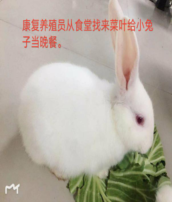 圖片003.png