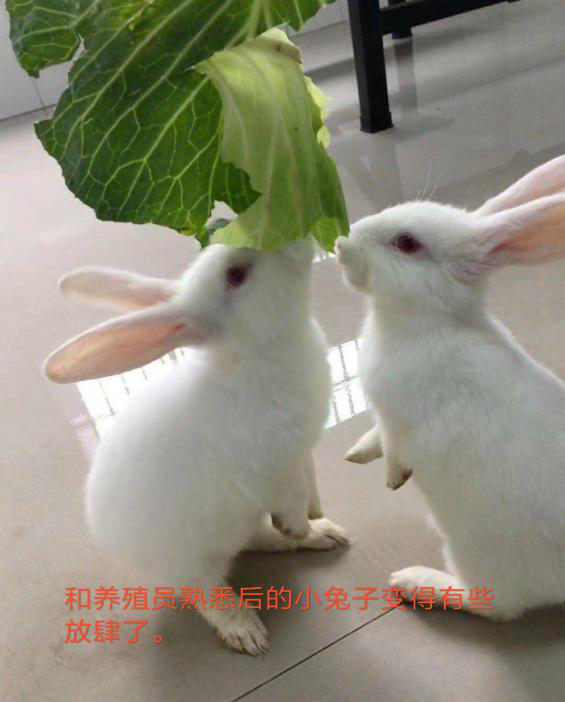 圖片004.png