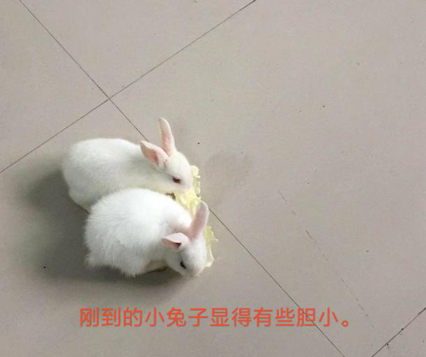 圖片001.png