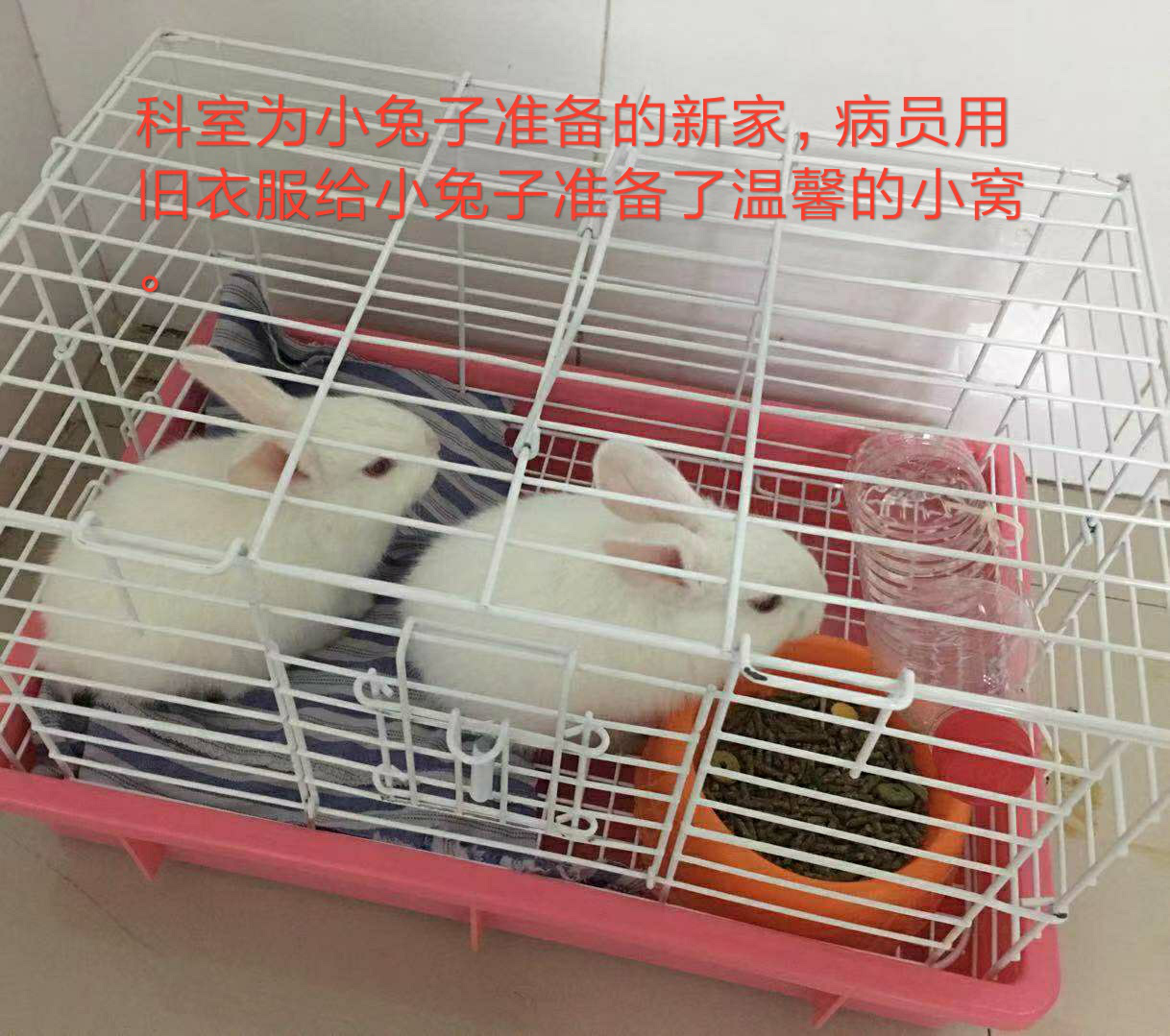 圖片002.png